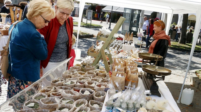 Unter dem schmackhaften Motto "Kraut und Rüben"...