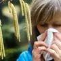 Gesundheit! Viele Kärntner Allergiker leiden schon jetzt unter den ersten Pollen (Symbolfoto)