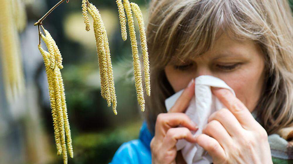 Gesundheit! Viele Kärntner Allergiker leiden schon jetzt unter den ersten Pollen (Symbolfoto)