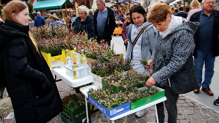 Der Besucherandrang war am Samstag beim Köflacher Loazkörblmarkt bereits vor dem offiziellen Beginn um 9.00 Uhr enorm. "Exakt 79 Aussteller präsentieren ihre Erzeugnisse", freuten sich Bürgermeister Helmut Linhart und Silke Valeskini vom Büro für Öffentlichkeitsarbeit über den regen Zuspruch.