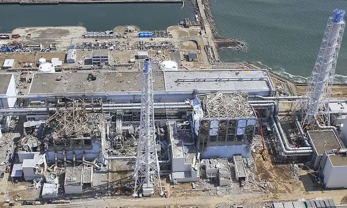 Der Unfall im AKW im japanischen Fukushima hatte auch Auswirkungen auf die deutsche Politik.