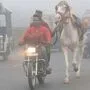 Smogwolke über Neu Delhi