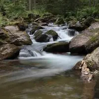 Die Schwarze Sulm vertritt die Steiermark bei der Wahl zum „Fluss des Jahres“
