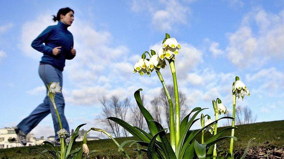 Der Frühling ist schon spürbar. Am Freitag nehmen Wolken und Regen allerdings zu