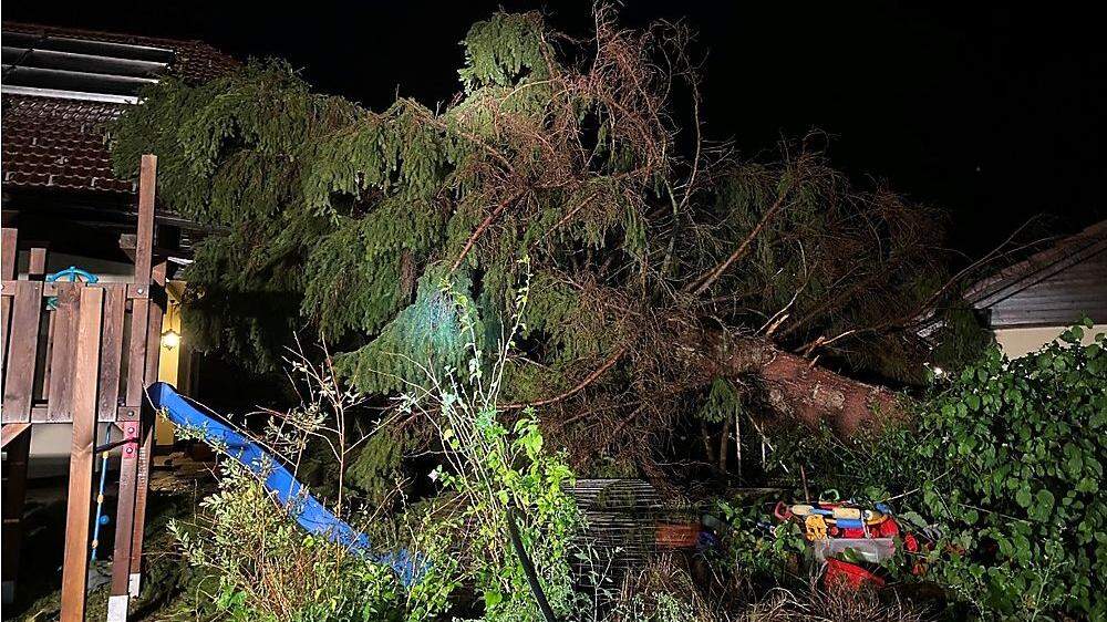 Auwaldgasse: Baum krachte in den Garten eines Einfamilienhauses - verletzt wurde zum Glück niemand
