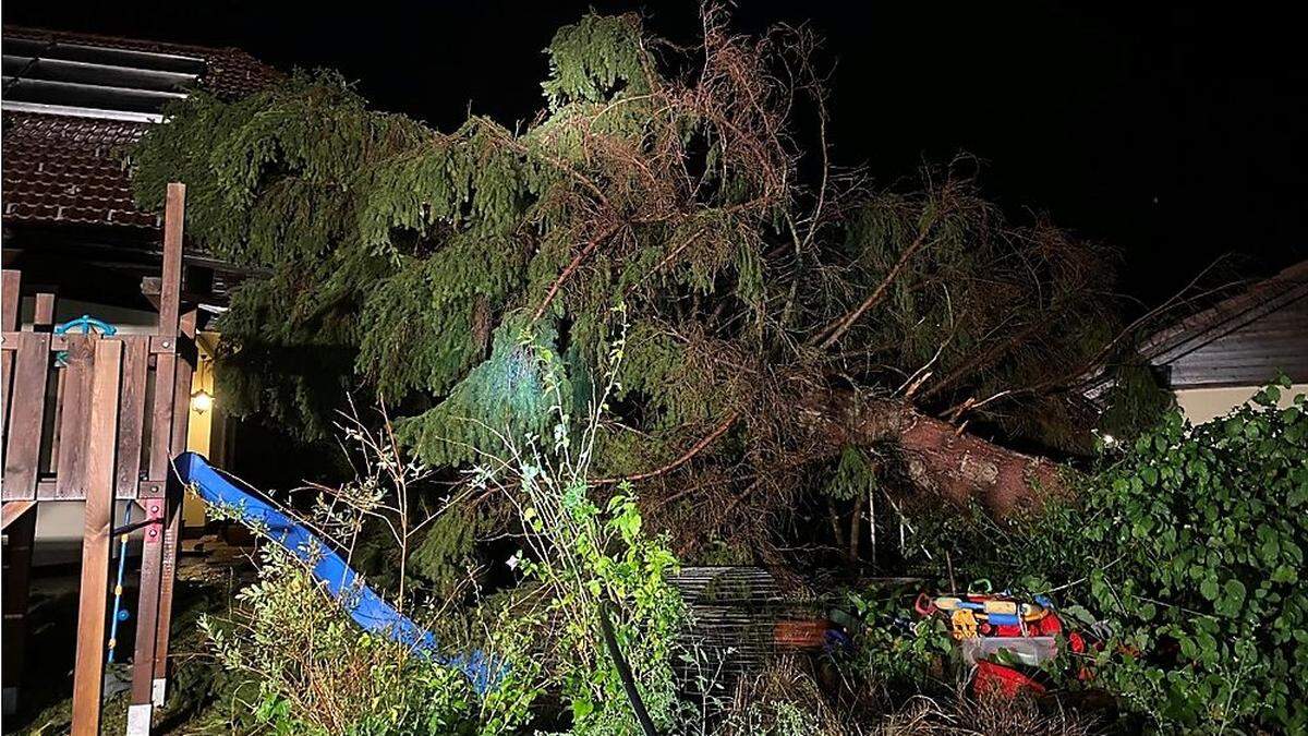 Auwaldgasse: Baum krachte in den Garten eines Einfamilienhauses - verletzt wurde zum Glück niemand