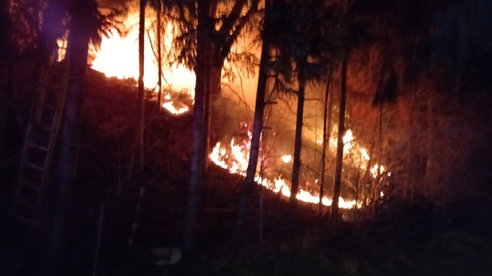 In der Nacht von Freitag auf Samstag kam es in Greith, Gemeinde Mitterdorf/Raab, zu einem Böschungsbrand.