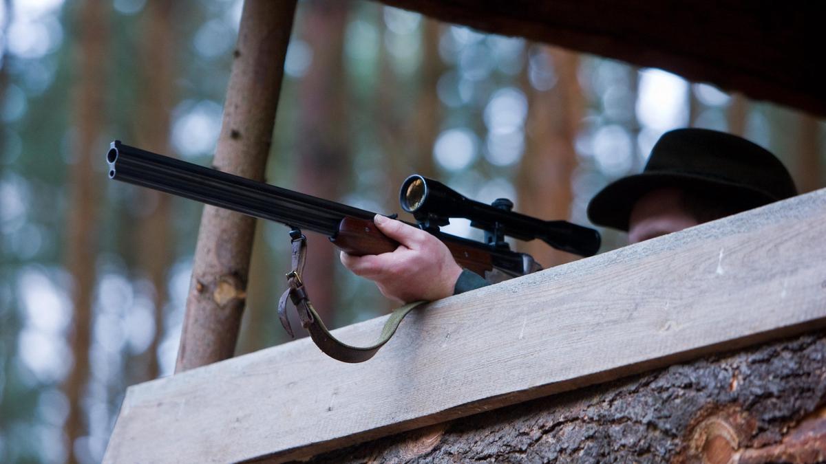 Von einem Hochstand aus feuerte die Jägerin „zumindest einen Schuss“ ab, so die Polizei