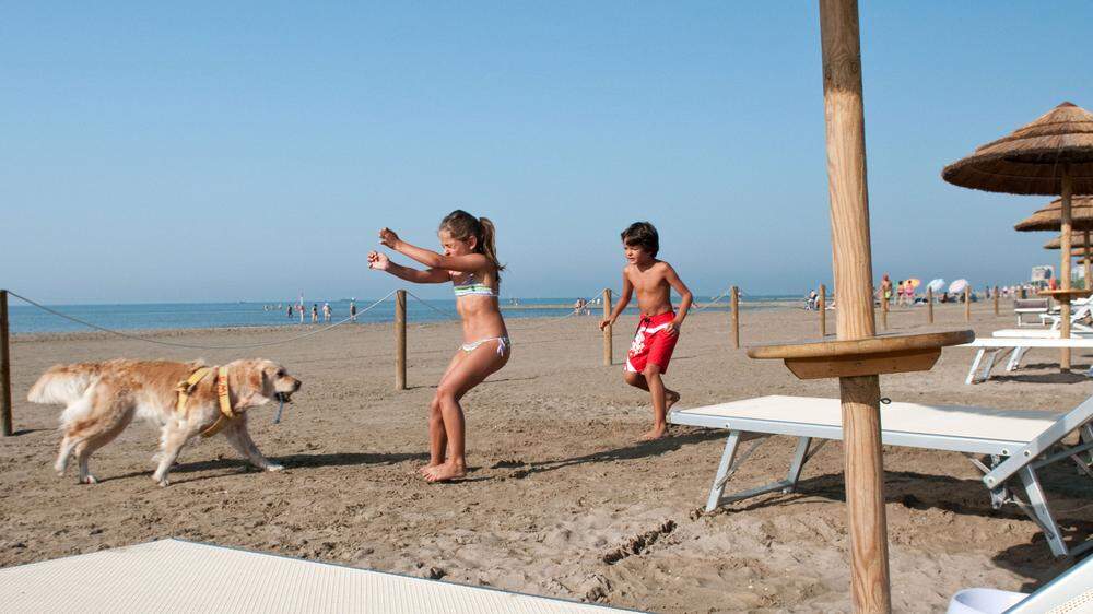 Urlaub mit Hund? „Il Lido di Fido“ und „Snoopy-Strand“ ermöglichen Strand- und Badespaß mit Hund 