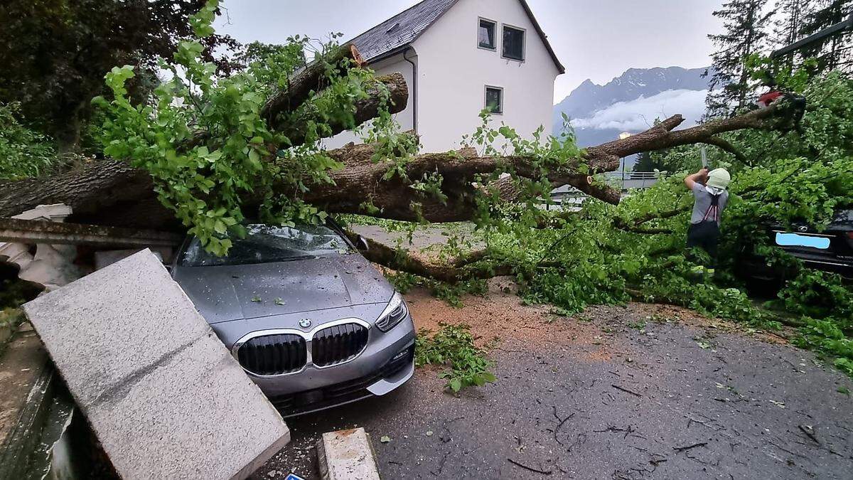 Mehrere Autos wurden durch einen entwurzelten Baum beim Schloss Pichlarn beschädigt