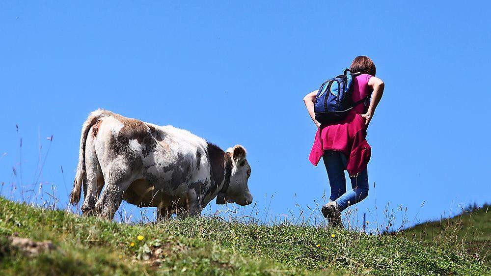 Das Urteil nach der tödlichen Kuhattacke in Tirol wurde bestätigt