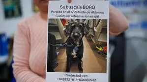 Nach tagelanger Suche gab es für Boro ein Wiedersehen mit seiner Familie 