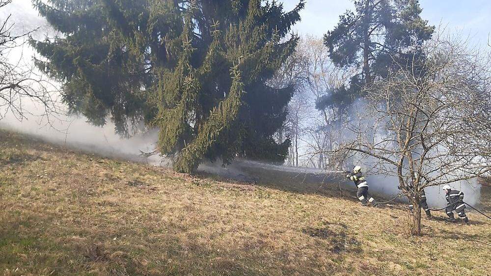 40 Feuerwehrleute bekämpften den Brand