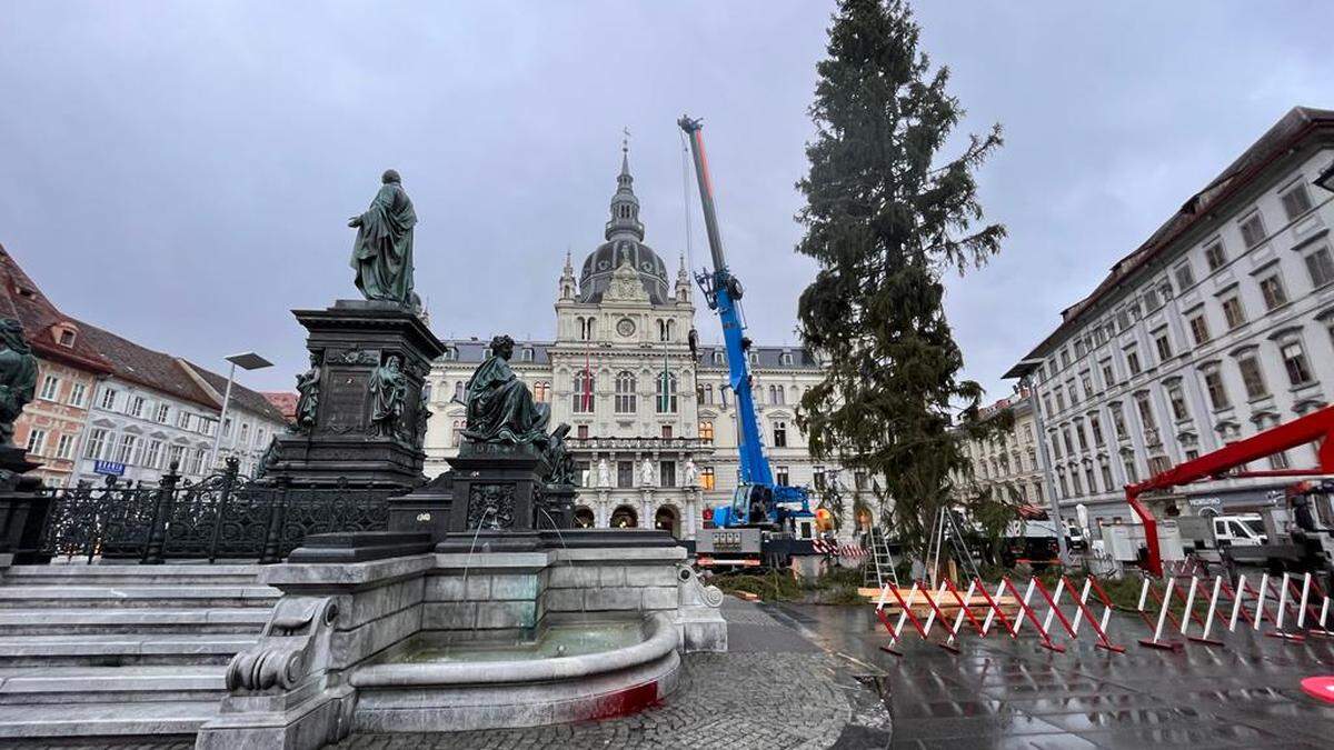 Heute Vormittag wurde der Christbaum angeliefert