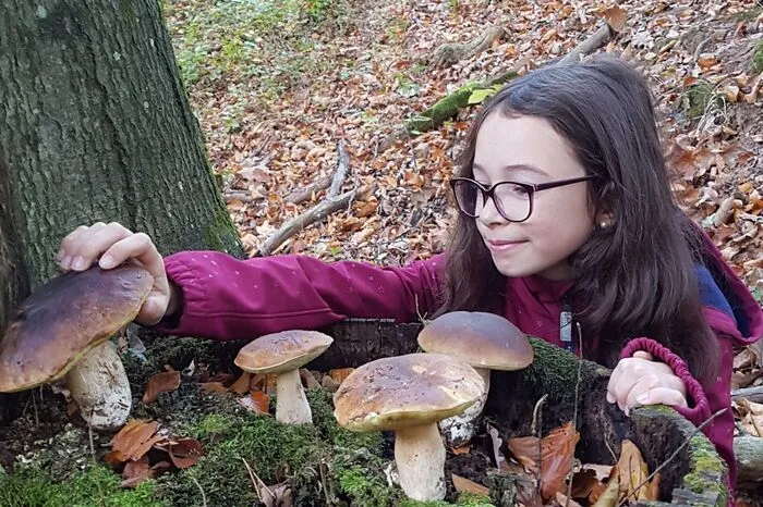 So ein Glückspilz! Klara hat an ihrem 10. Geburtstag in Klöch viele Pilze gefunden