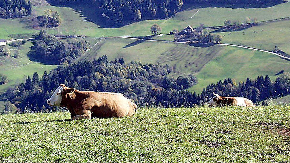 Das ländliche Wegenetz in Kärnten reicht 8600 Kilometer bis zu den entlegensten Bauernhöfen	