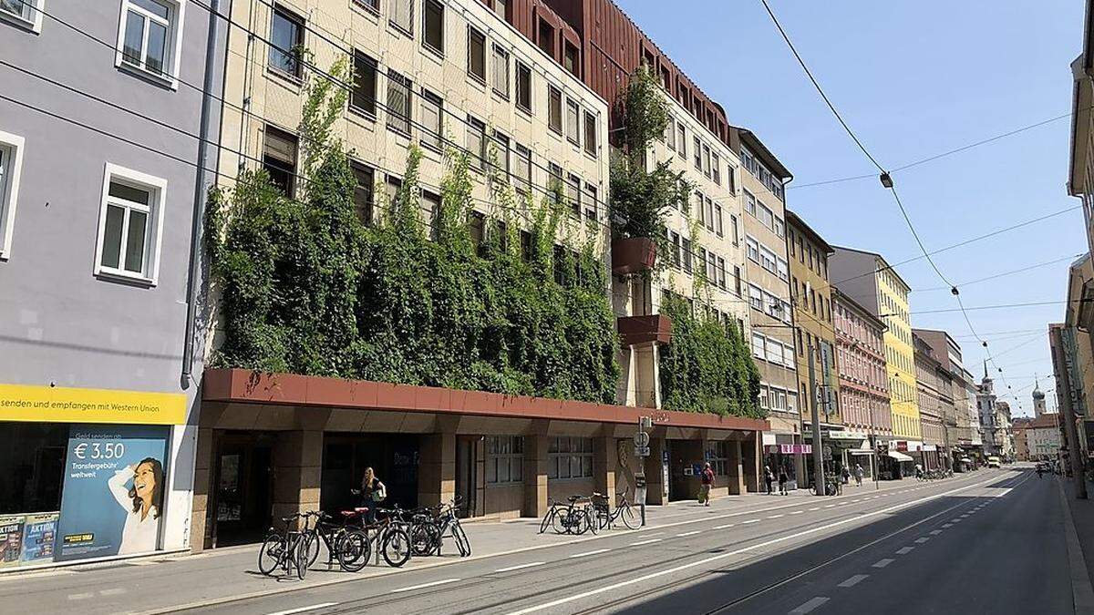 Die begrünte Uniqa-Fassade in der Annenstraße findet großen Anklang