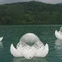 Wolfgang Semmelrock gestaltete die Lotusblumen-Installation im Millstätter See