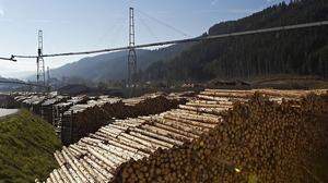 Die Nachfrage nach Schnittholz und verarbeiteten Holz ist eingebrochen