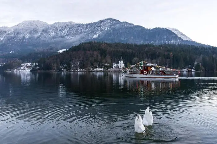 Die MS Traun mit weihnachtlicher Beleuchtung vor der Kulisse verschneiter Berge und der Villa Castiglioni im Hintergrund. Im Vordergrund tauchen zwei Schwäne.