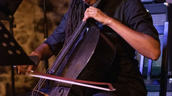 Tomeka Reid, Cellistin aus Chicago