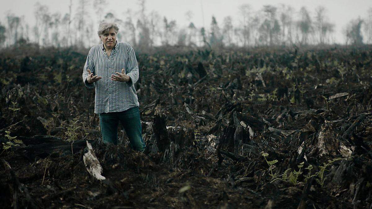 Regisseur Werner Boote inmitten eines abgebrannten Urwaldes - hier soll eine Palmölplantage entstehen