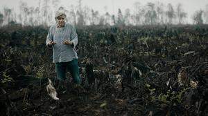 Regisseur Werner Boote inmitten eines abgebrannten Urwaldes - hier soll eine Palmölplantage entstehen