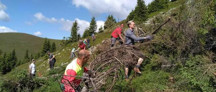 Pflege schützt das Kulturgut Almen vor Verwilderung