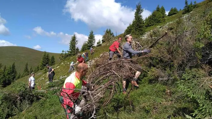 Pflege schützt das Kulturgut Almen vor Verwilderung