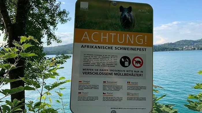 Warnschilder weisen auf die gefährliche Afrikanische Schweinepest hin
