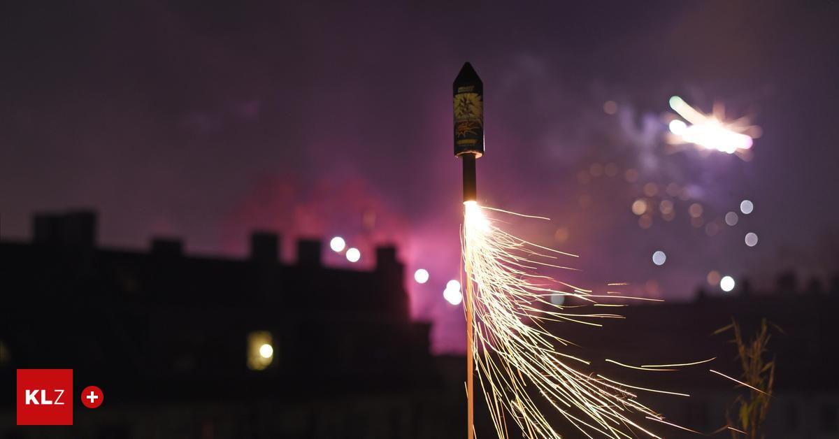 ver-ngstigte-hunde-im-tierheim-die-knallerei-ist-ein-graus