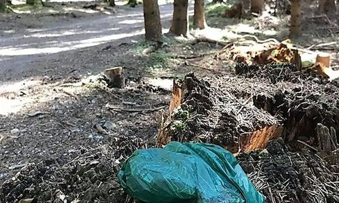 Hundekotsackerln neben dem Weg
