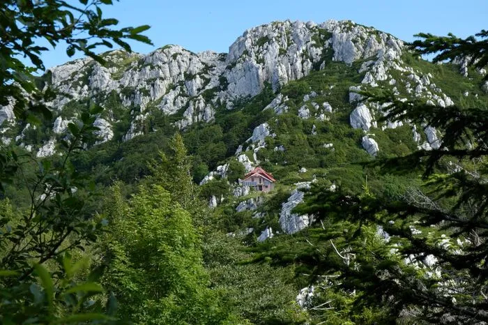 Nationalpark Risnjak. Im Nordwesten Kroatiens ist ein 63,5 Quadratkilometer großer Bereich des Gorski kotar seit 1959 unter Schutz gestellt. Die höchste Erhebung ist des Nationalparks Risnjak ist der Veliki Risnjak, der Luftlinie nur 15 Kilometer von der Küste entfernt liegt.