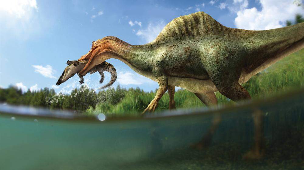 Bei dem Fund dürfte es sich um die Überreste eines Spinosaurus handeln.
