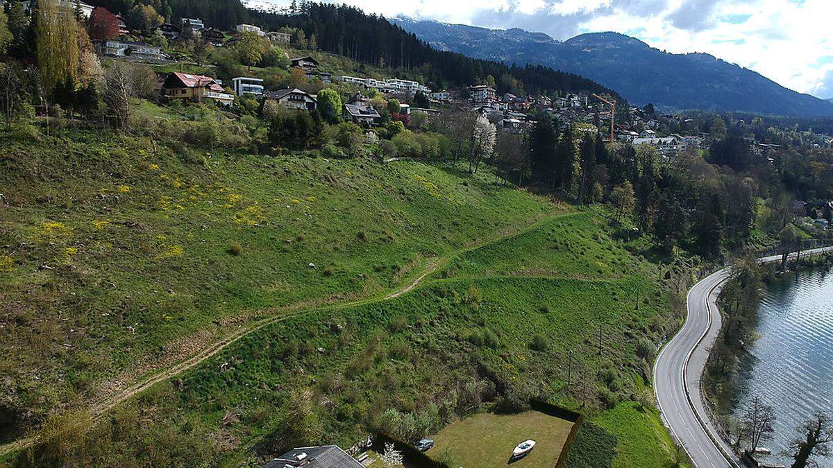 Auf diesem gerodeten Areal in Millstatt verfolgt Siller Real Estate Pläne für ein Vital Resort samt Wohnanlage