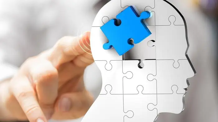 Schulentwicklung braucht oft eine beratende Außensicht, um die komplexen Strukturen des Betriebs effektiv zu analysieren