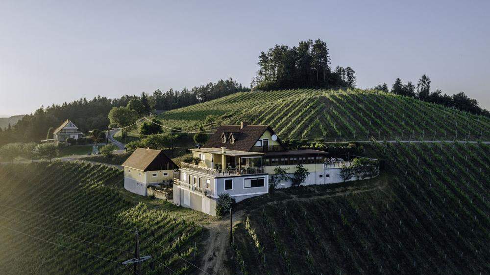Dieses Weingut in der Südsteiermark ist um 1,35 Millionen Euro zu haben