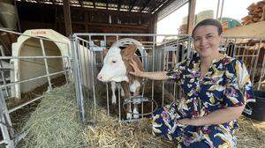 Vor elf Jahren stieg „Milch Marie“ Elisabeth Gratzer in die Joghurtproduktion ein