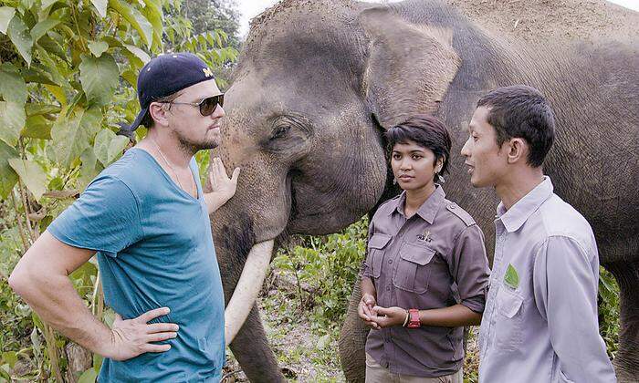 Leonardo DiCaprio in Indonesien 