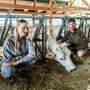 Cheyenne Ochsenknecht und Nino Sifkovits mit einem ihrer Chianina-Rinder – sie tragen übrigens alle italienische Namen
