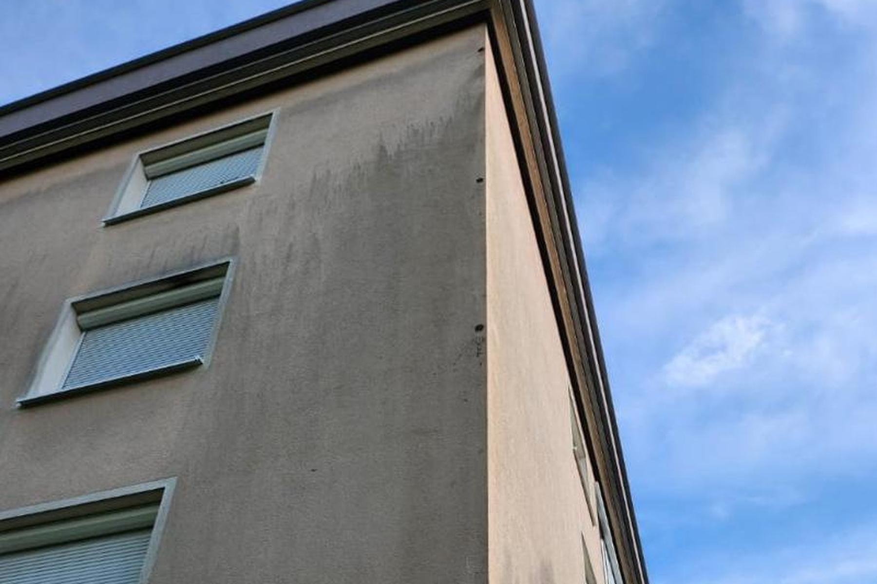 Jungvögel drinnen?: Verschlossene Löcher in Hausfassade sorgen in Kärnten für Aufregung