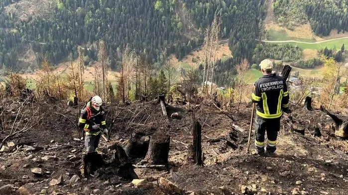 Der Waldbrand im Lesachtal richtete auf 110 Hektar schwere Schäden an. Bei der Wiederaufforstung solcher Flächen sei fachliche Expertise nötig, um Wald klimafit zu machen
