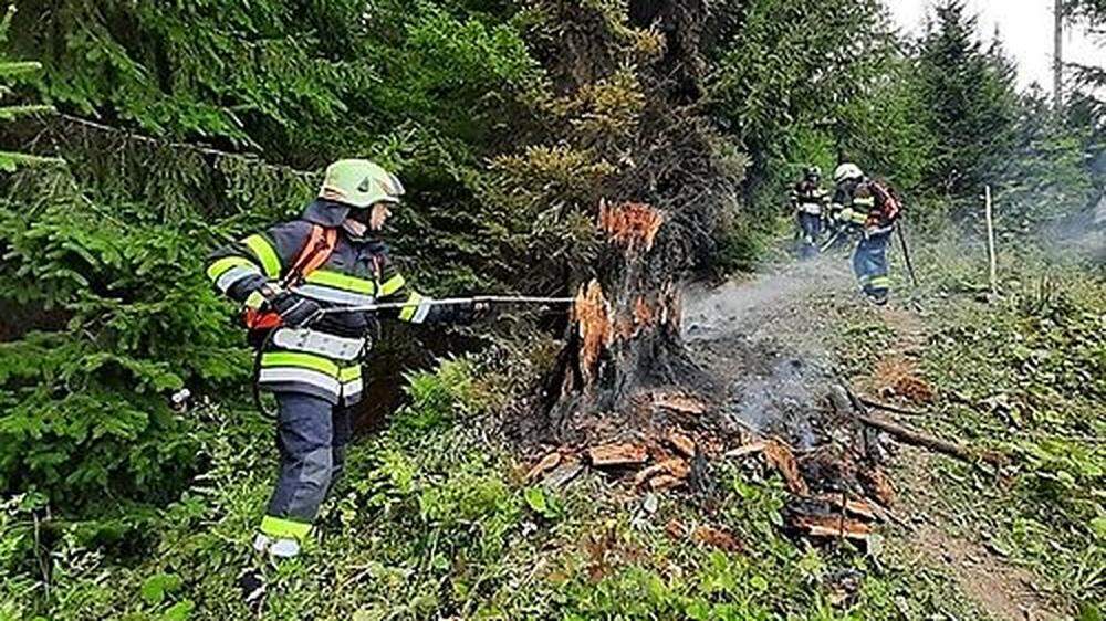 Der Baumstumpf war aus vorerst unbekannter Ursache in Brand geraten
