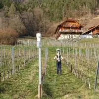 Zu verschiedenen Jahreszeiten, wie etwa im Frühjahr, wurden Daten im Weingut „Auf der Leiten“ gesammelt