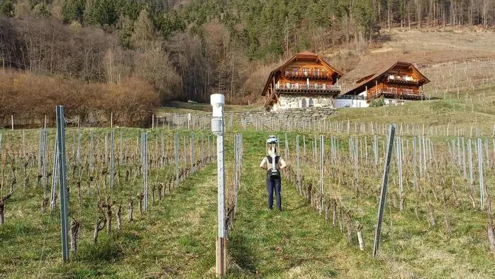 Weingut „Auf der Leiten“