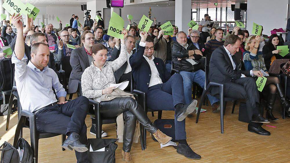 2015 zeigten Kärntens Neos-Mitglieder bei der Landesversammlung auf