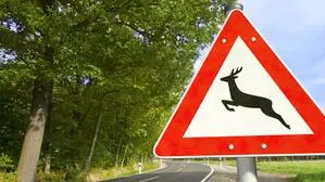 Jährlich ereignen sich auf Österreichs Straßen etwa 80.000 Unfälle mit Wildtieren. Das Projekt „Wildwarn“ will diese Zahl reduzieren