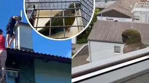 Von Headquarter zu Headquarter: Der Papagei vom Styria Media Center flog zu Anton Paar weiter. Und: Der Fernitzer Papagei ist mittlerweile gefunden