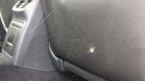 Die Spinne im Auto