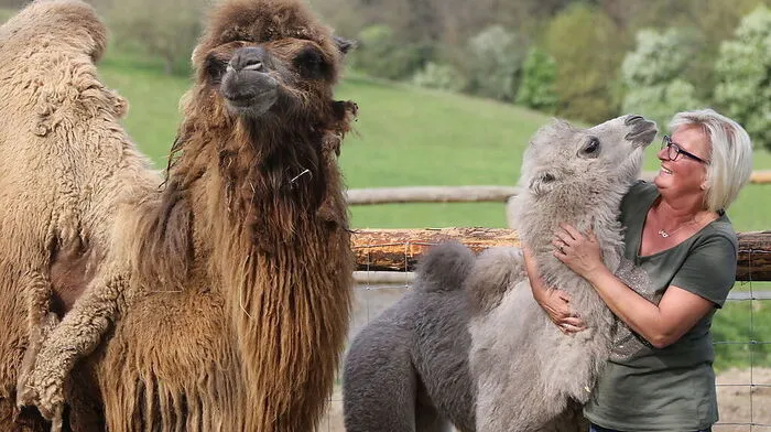 Irmgard Schober mit "Baby" Saha und Kamelmama Aisha 